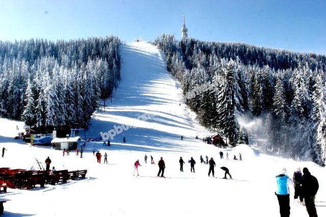 Двустаен апартамент за продажба в центъра на ски курорта Пампорово Двустаен апартамент за продажба в центъра на ски курорта Пампорово