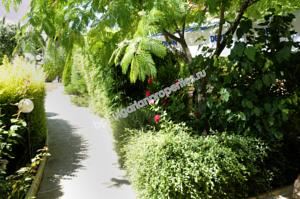 Изгодна препродажба! Нов апартамент с гледка море в Златни Пясъци Изгодна препродажба! Нов апартамент с гледка море в Златни Пясъци