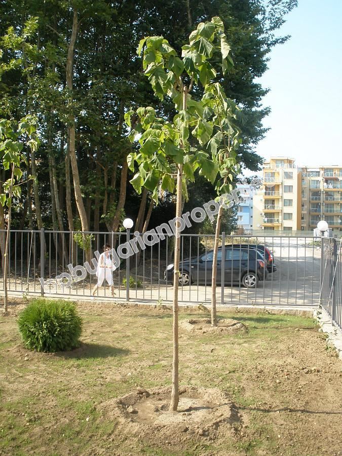 Евтино ново студио с бонус кухня за продажба в курорта Слънчев Бряг