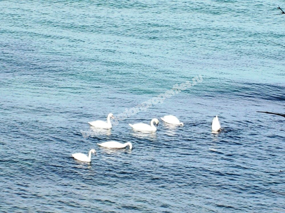 Луксозен двустаен апартамент за продажба на първа линия море в курорта Лозенец