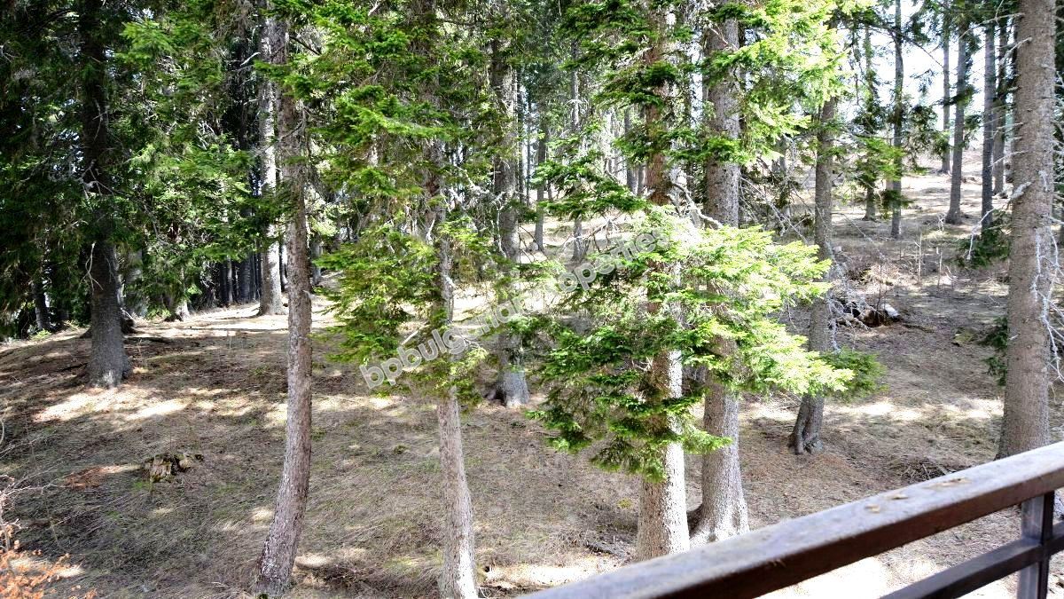 Голямо студио за продажба в ски курорта Пампорово