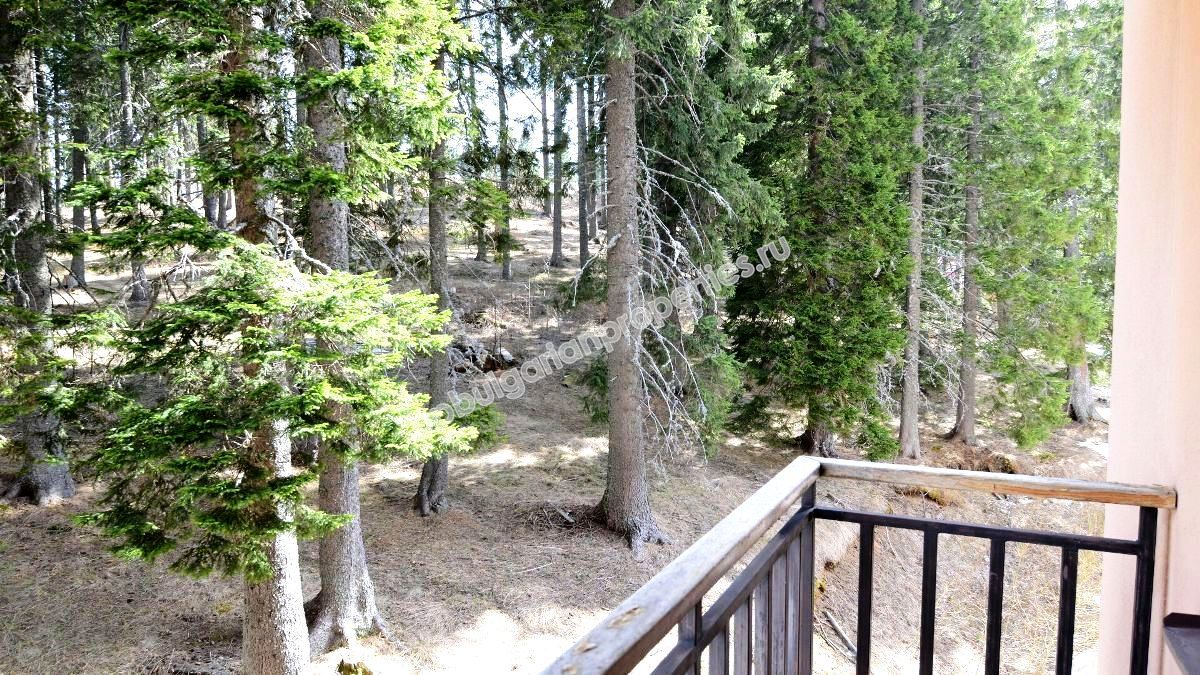 Голямо студио за продажба в ски курорта Пампорово