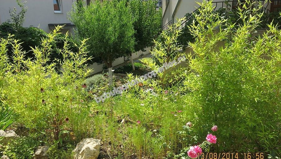 Мебелиран едноспален апартамент за продажба близо до плажа в курорта Слънчев Бряг