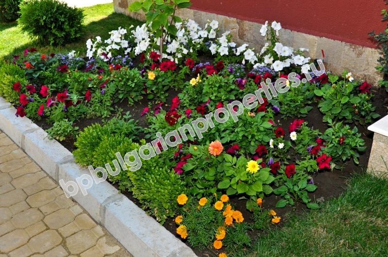 Луксозни апартаменти за продажба в морския курорт Свети Влас Луксозни апартаменти за продажба в морския курорт Свети Влас