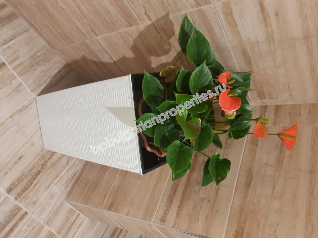 Хотел с ресторант на 3 км от Слънчев Бряг