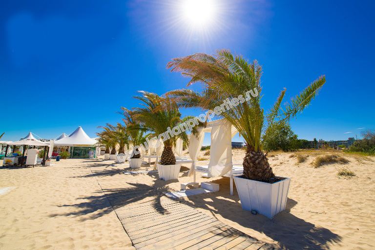 Ново голямо студио близо до плажа за продажба в Слънчев Бряг