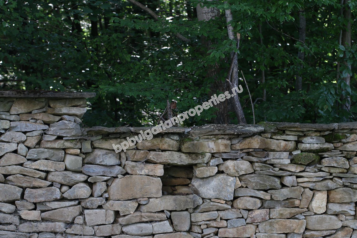 Действаща къща за гости/хотел за продажба в село в Троянския балкан