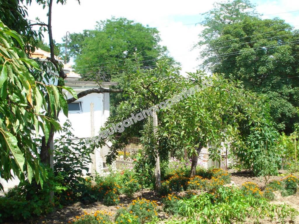 Реновирана къща с двор, област Ямбол