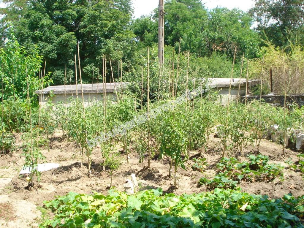 Реновирана къща с двор, област Ямбол