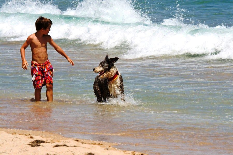 Луксозни апартаменти за продаване на първа линия море в Созопол